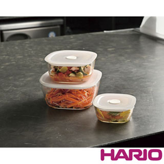 HARIO 方形玻璃密封保鮮盒600ml