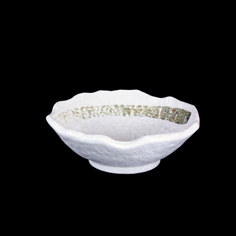 雪白綠刷毛 9